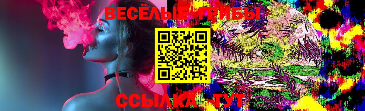 как найти   Галлюциногенные грибы прущие грибы  Вход с VPN  Еманжелинск 